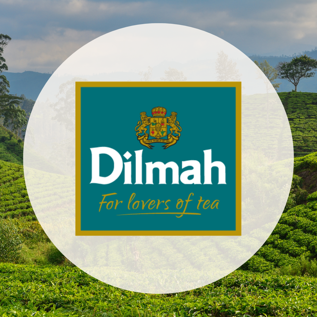 Naturalny smak Sri Lanki – poznaj świat herbat Dilmah